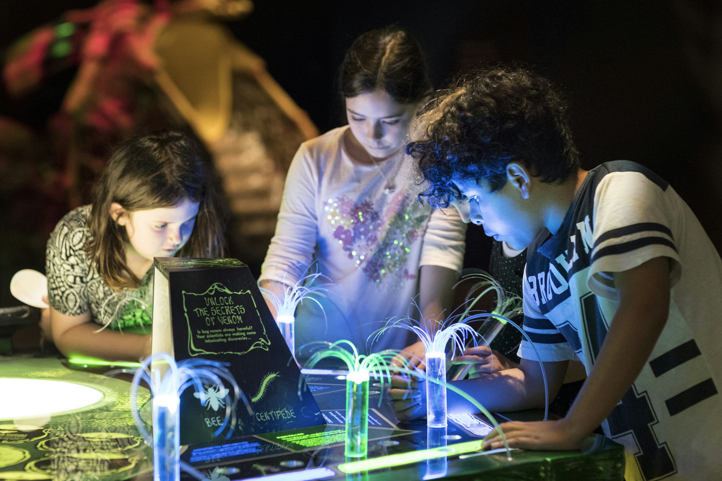 Bug Lab exhibit activity