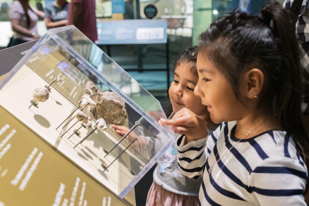 2 girls looking at fossils.