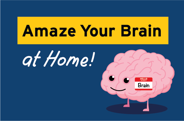 Amaze Your Brain at Home