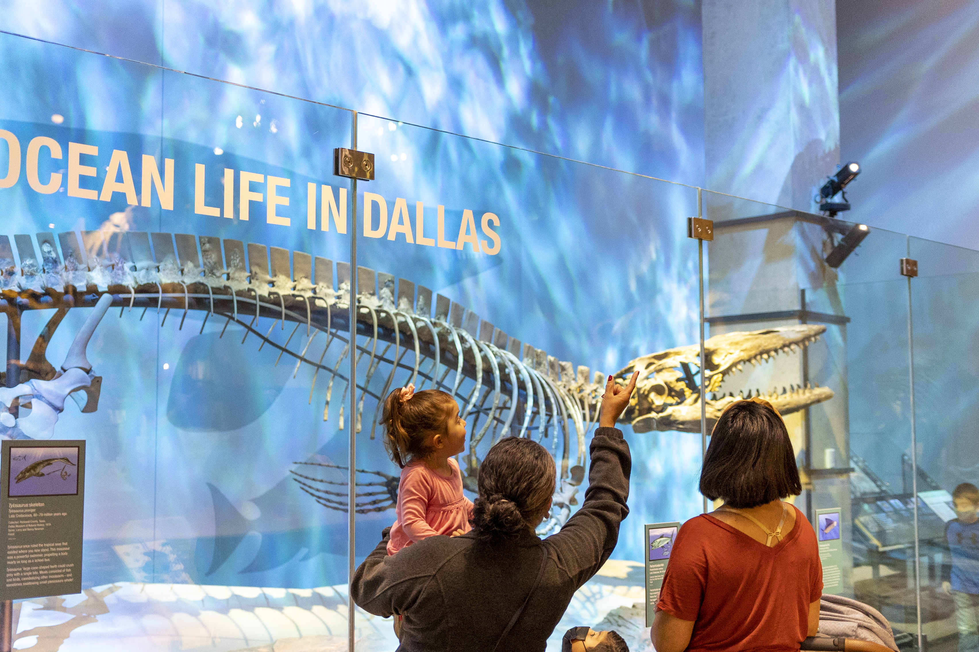 Young family with child looking at a dinosaur skeleton.
