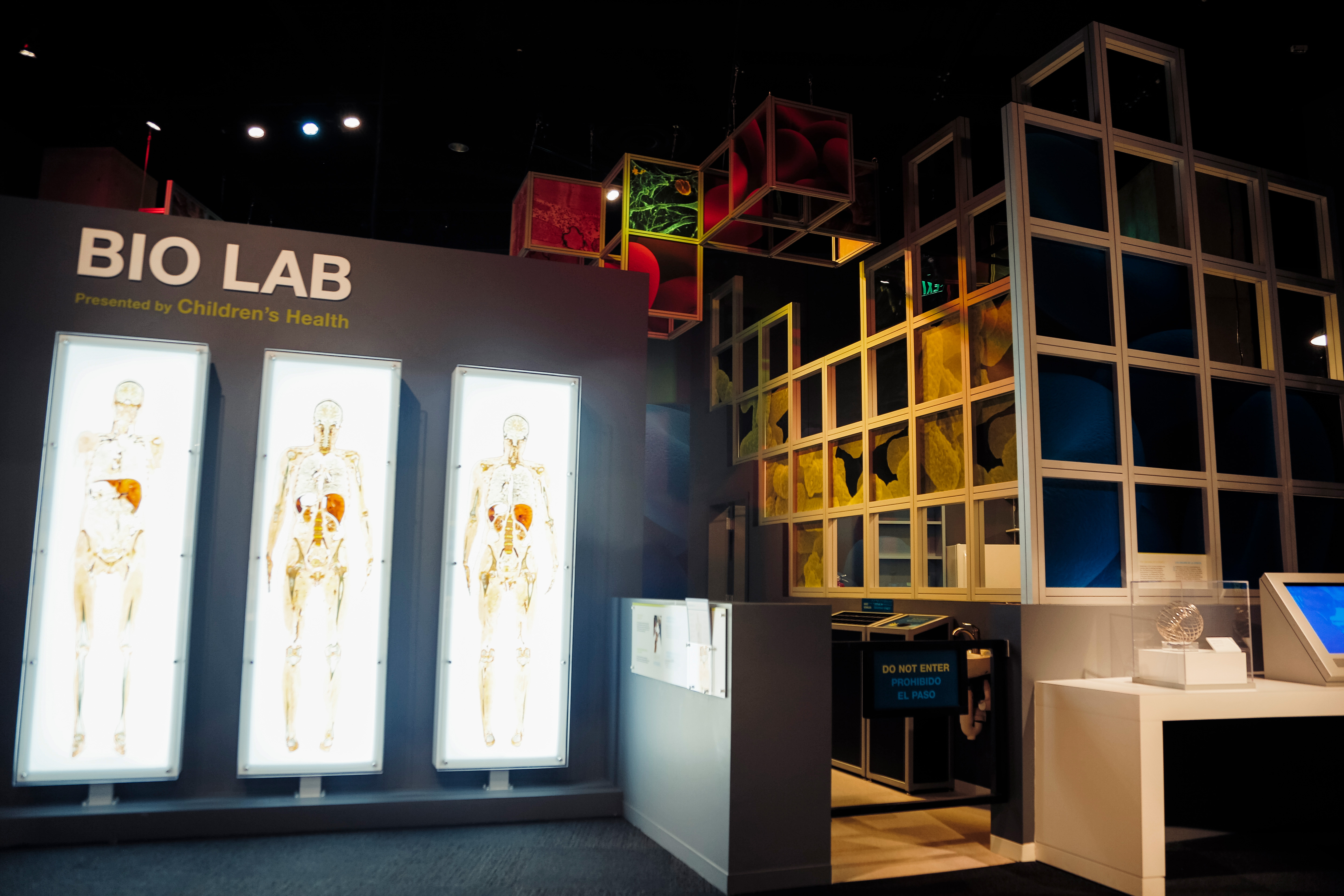 Wall leading into experiment lab with human body slices on the entrance wall.