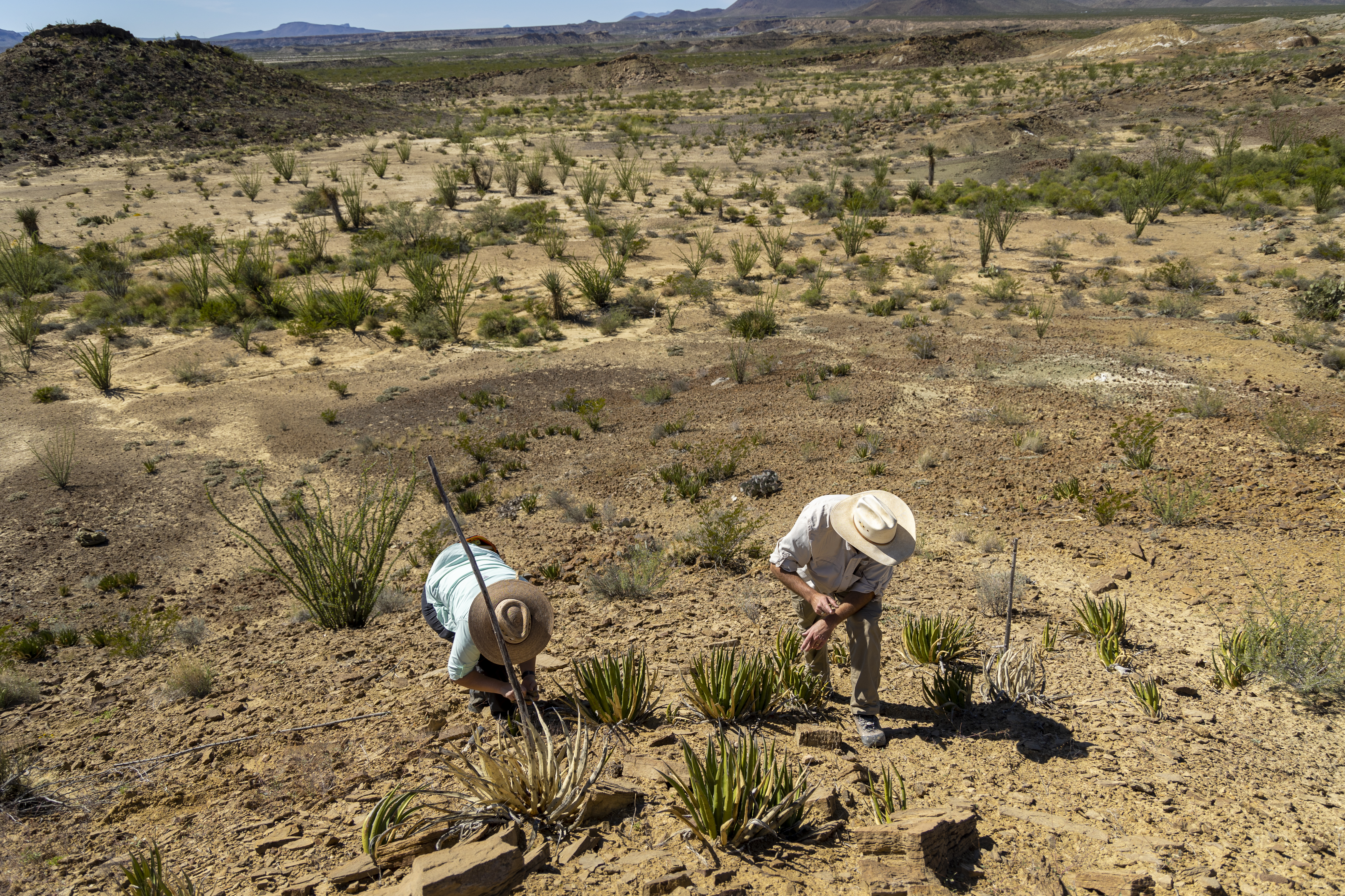 Dr. Tykoski and Dr. Contreras at Big Bend