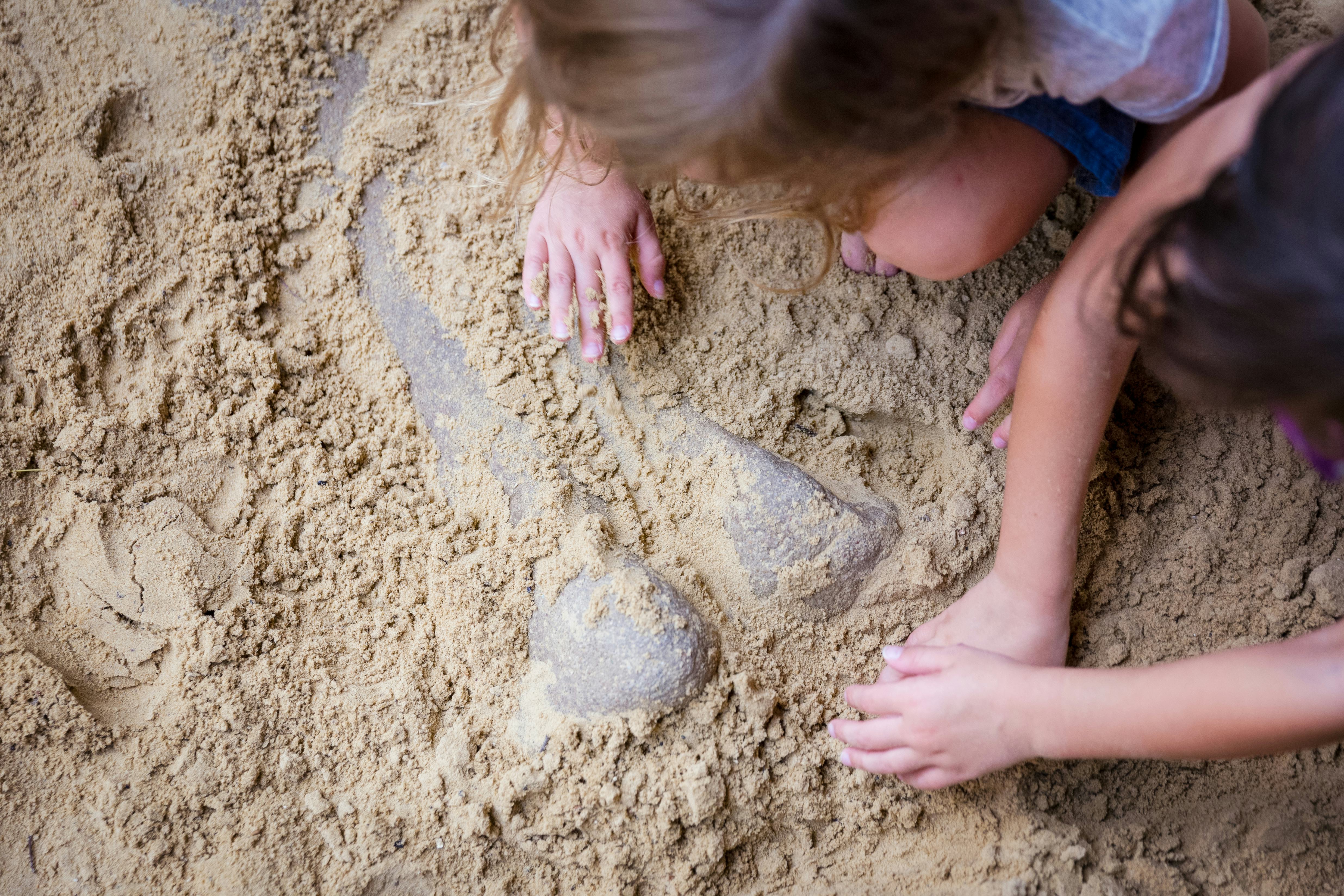 Children's hands digging in sand to explore a discovery.