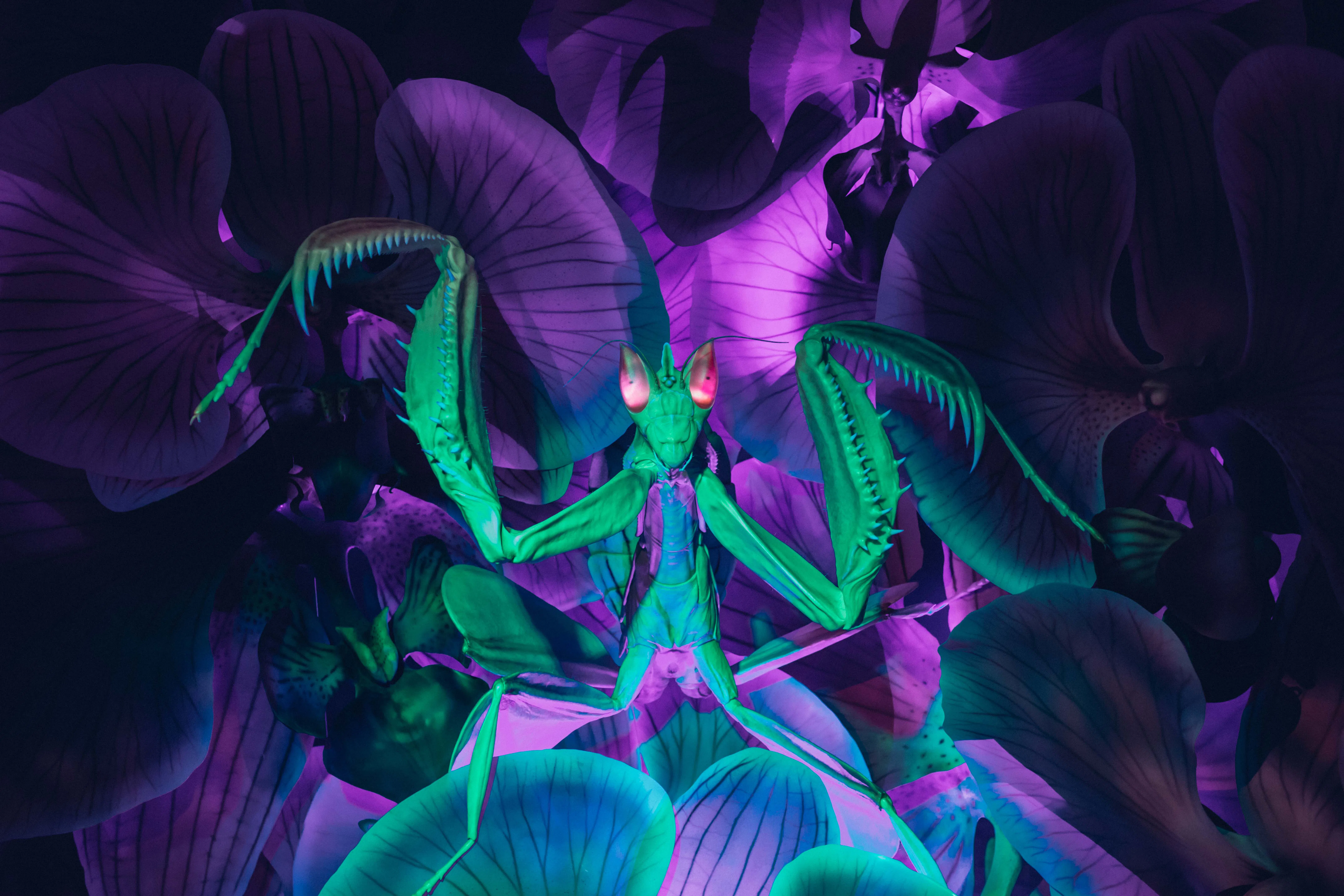 Bug Lab - Perot Museum