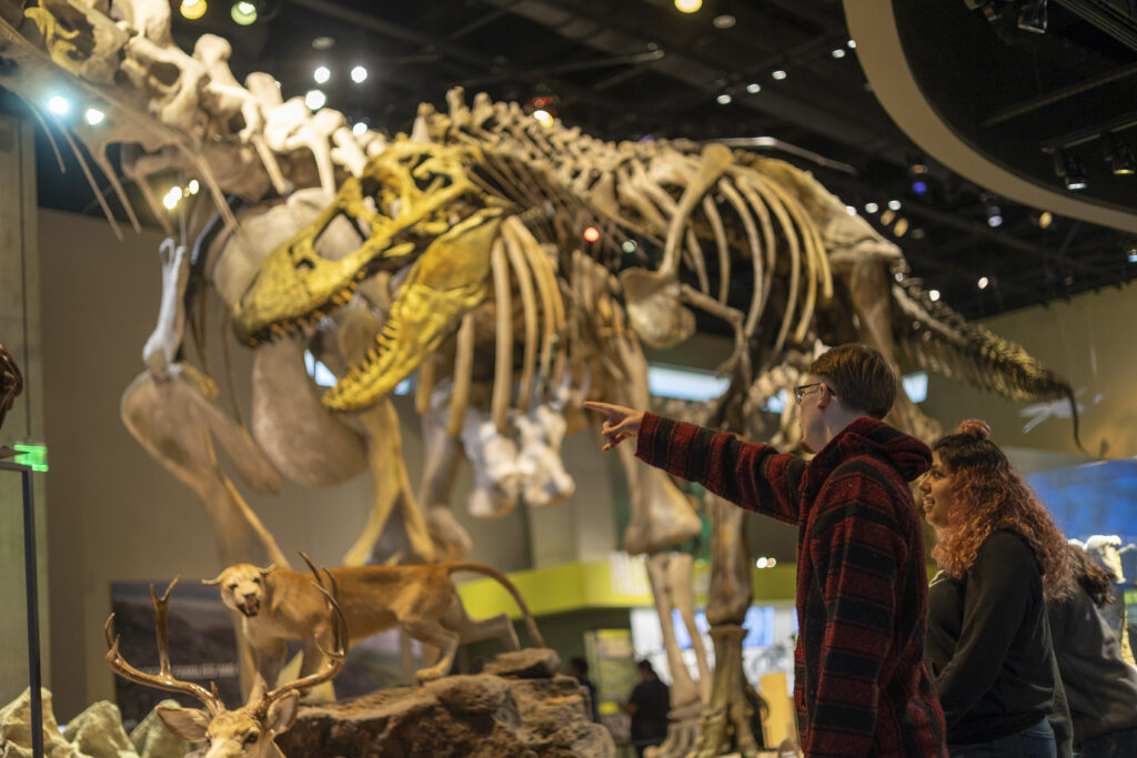 Guest pointing at T. rex fossil skeleton in side Life Then and Now Hall