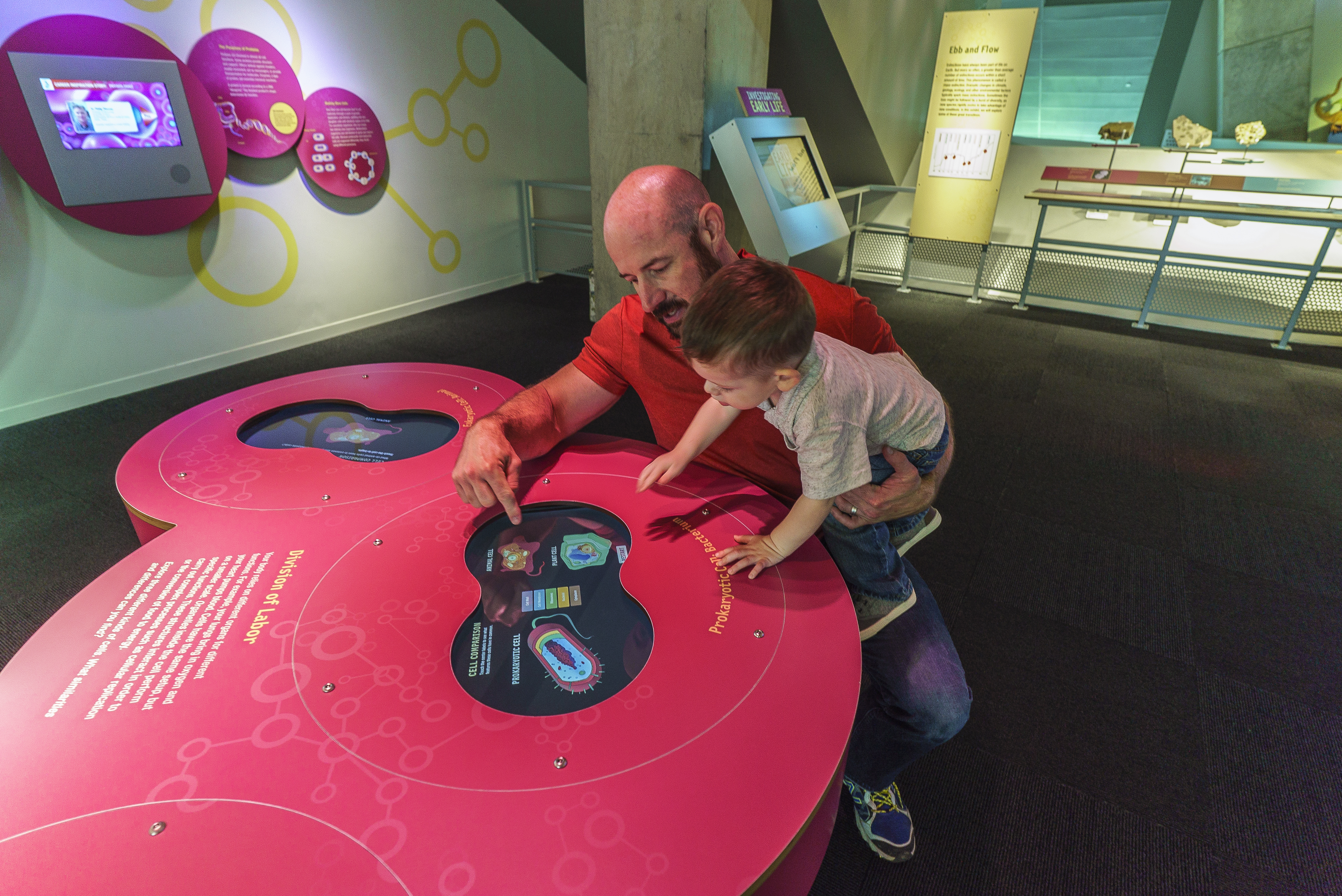 A father and son explore a museum display together.