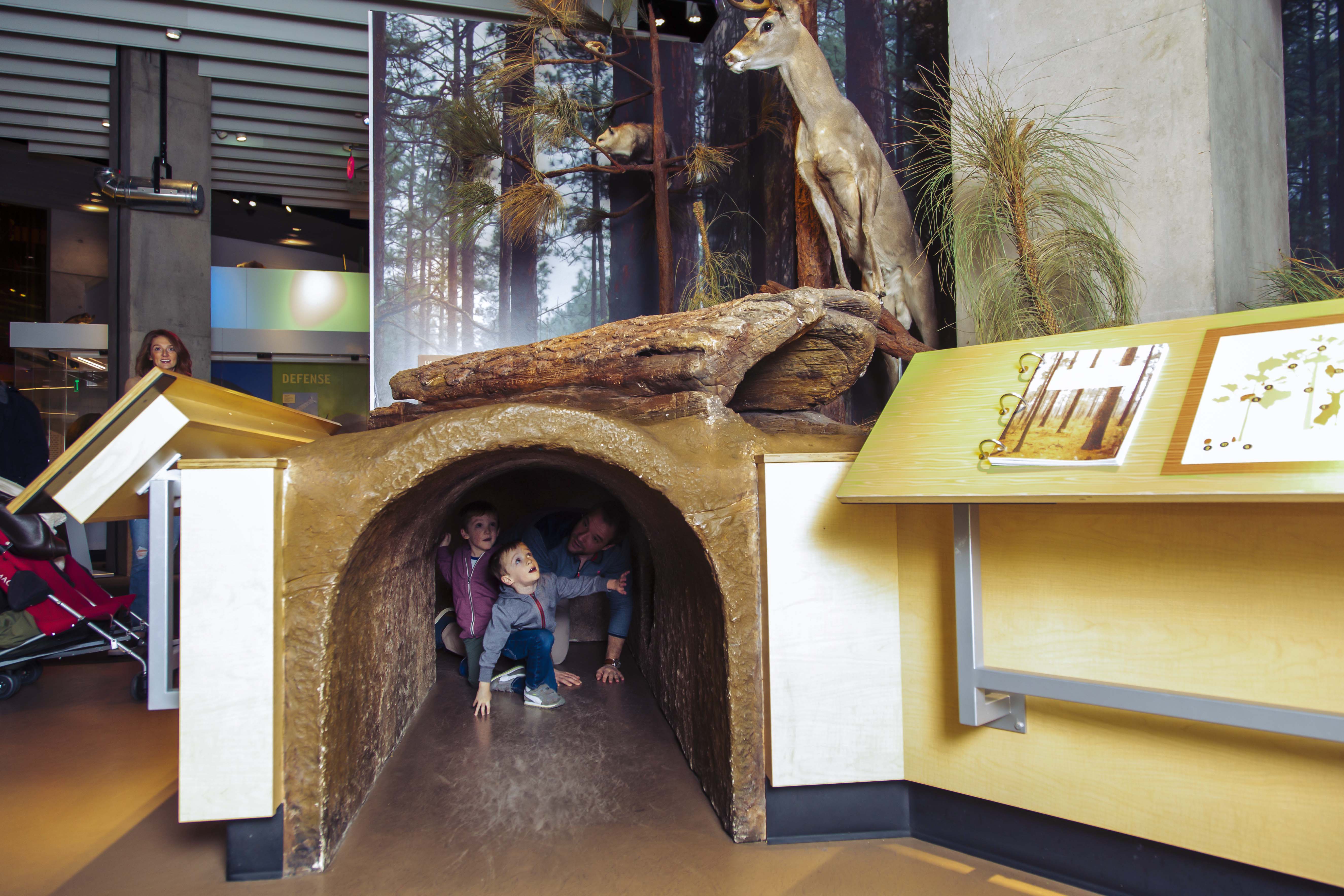 A young child inside a display's tunnel.