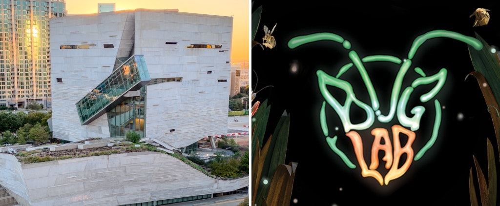 Perot Museum exterior and Bug Lab exhibition graphic