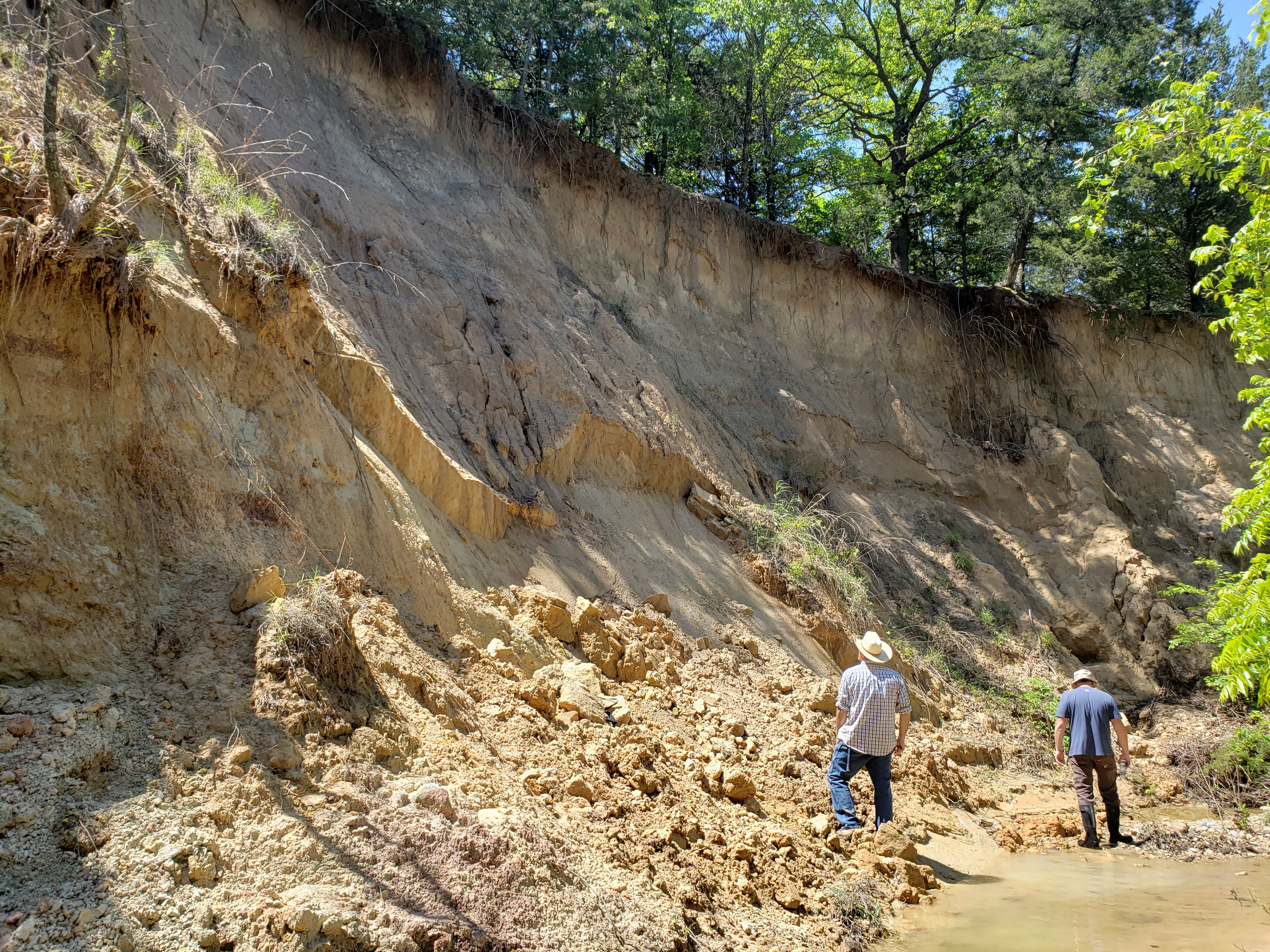 Cretaceous antlers forming at geology site