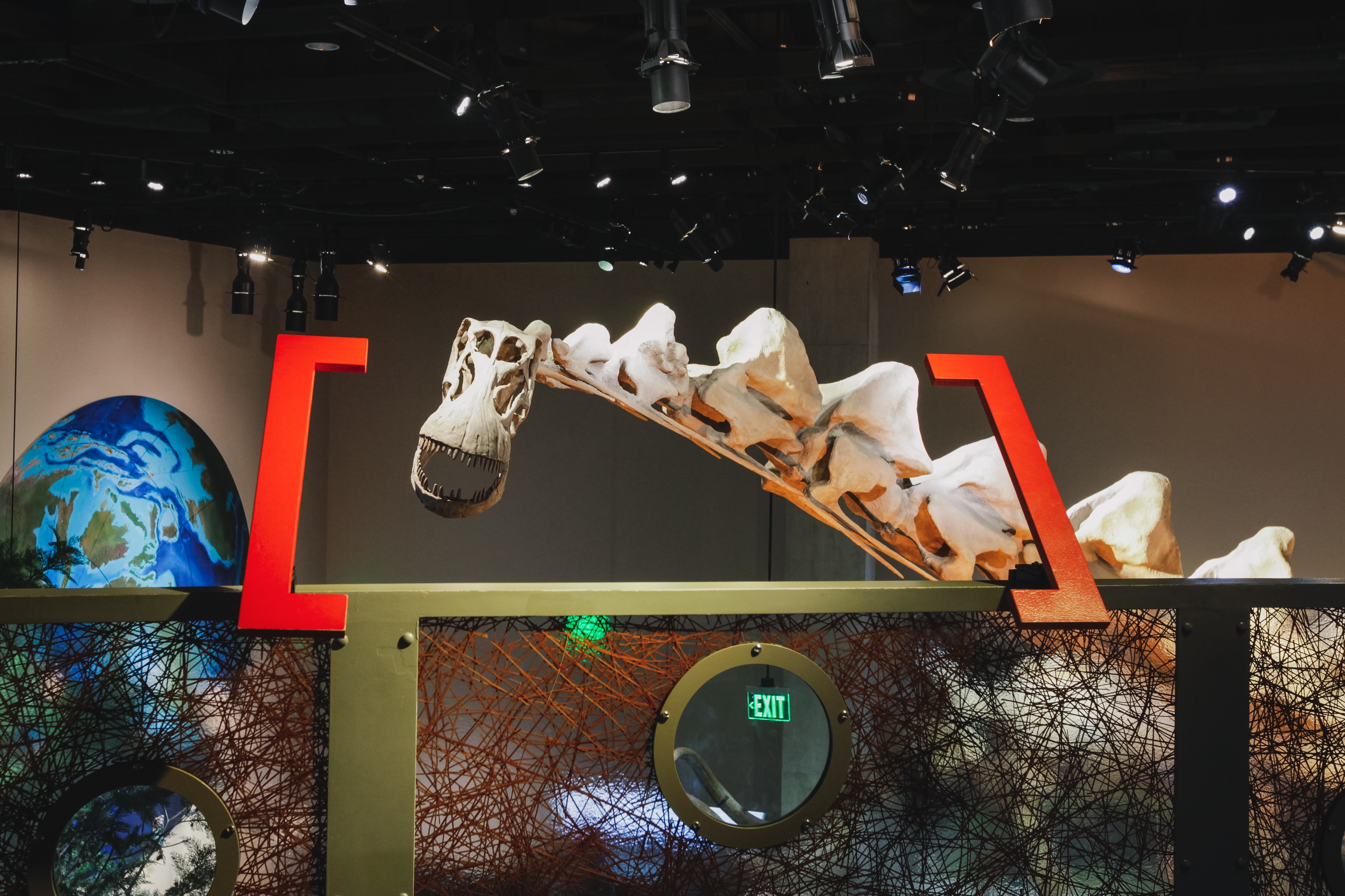 Dinosaur skeleton in the museum.