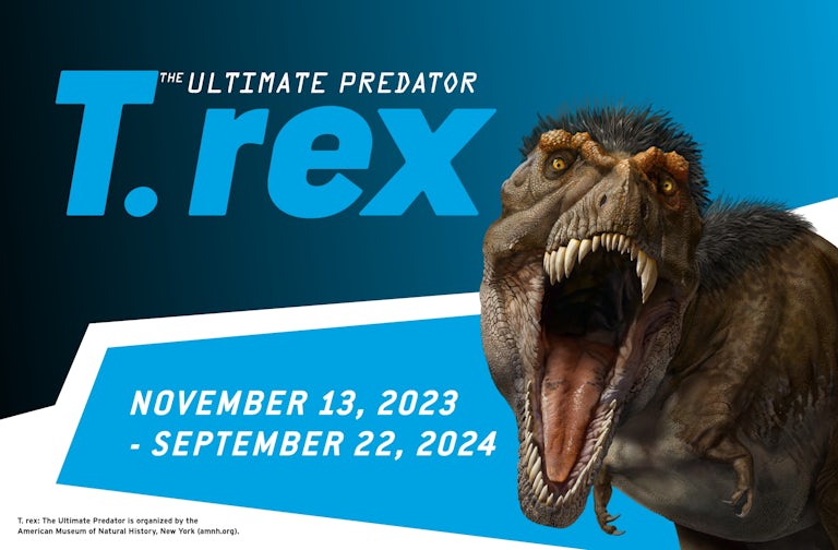 T. rex exhibition graphic with dates