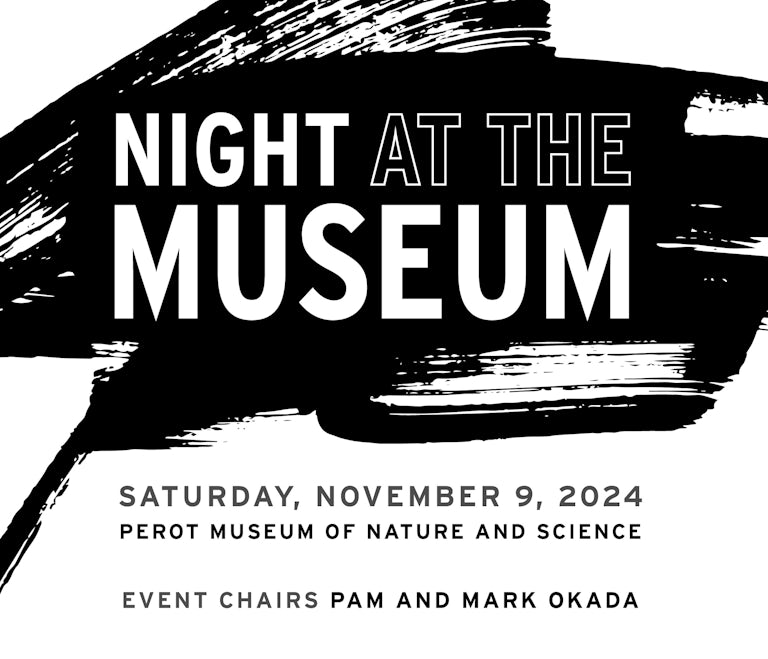 Night at the Museum 2024 logo header