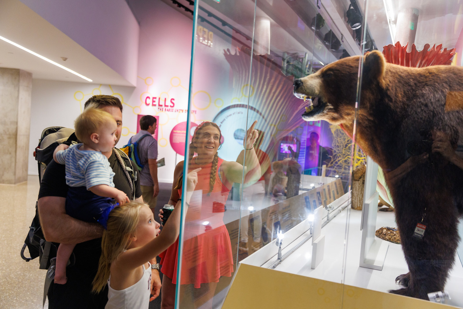 Woman, man, and two young children pointing and smiling at taxidermy beat enclosed in a glass case