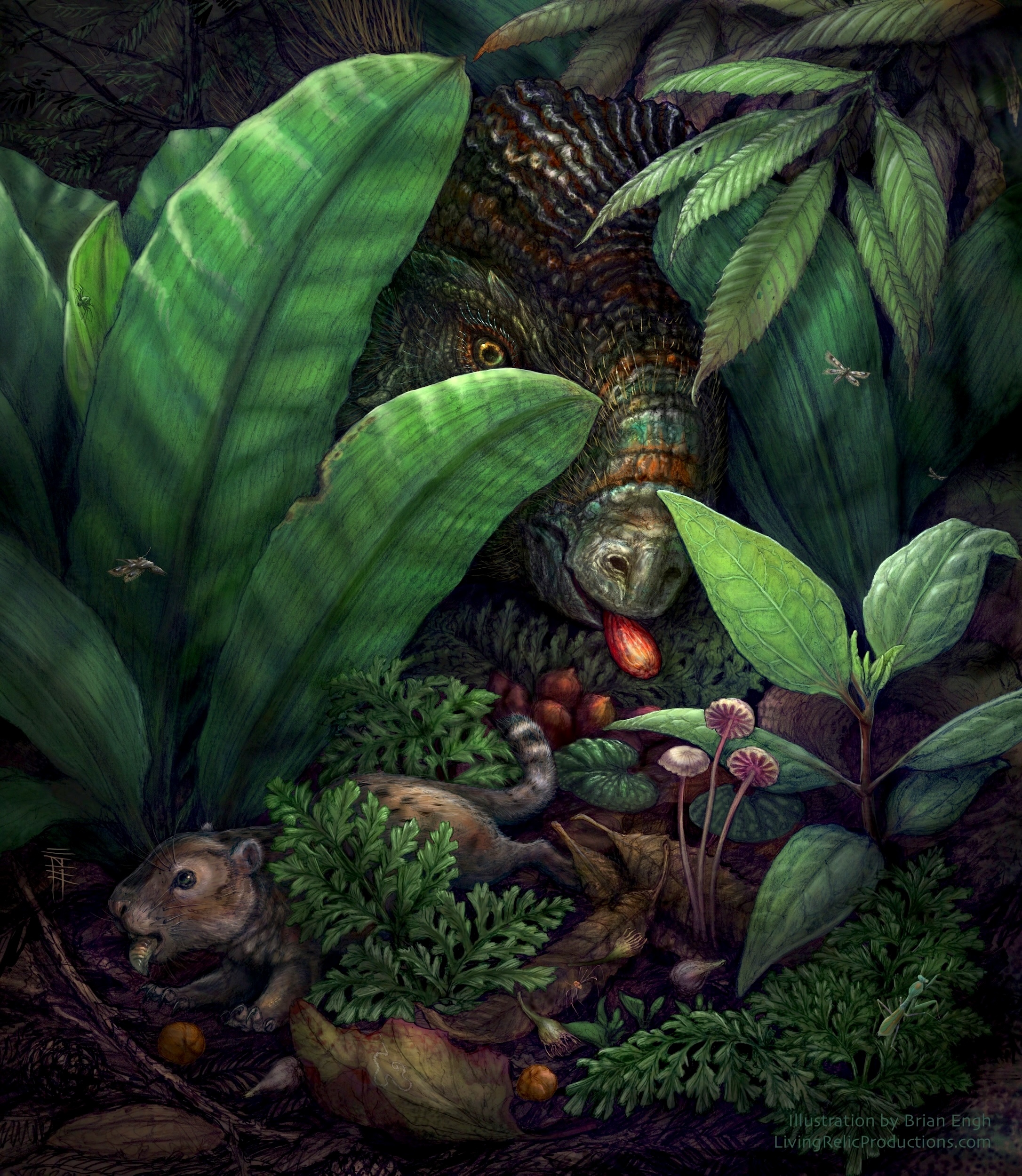 Reconstruction of the forest floor of the74.6 million-year-old Dori’s Tuff flora