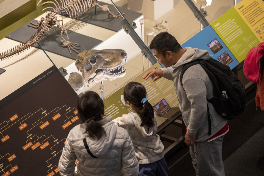 Family looking at dinosaur exhibit