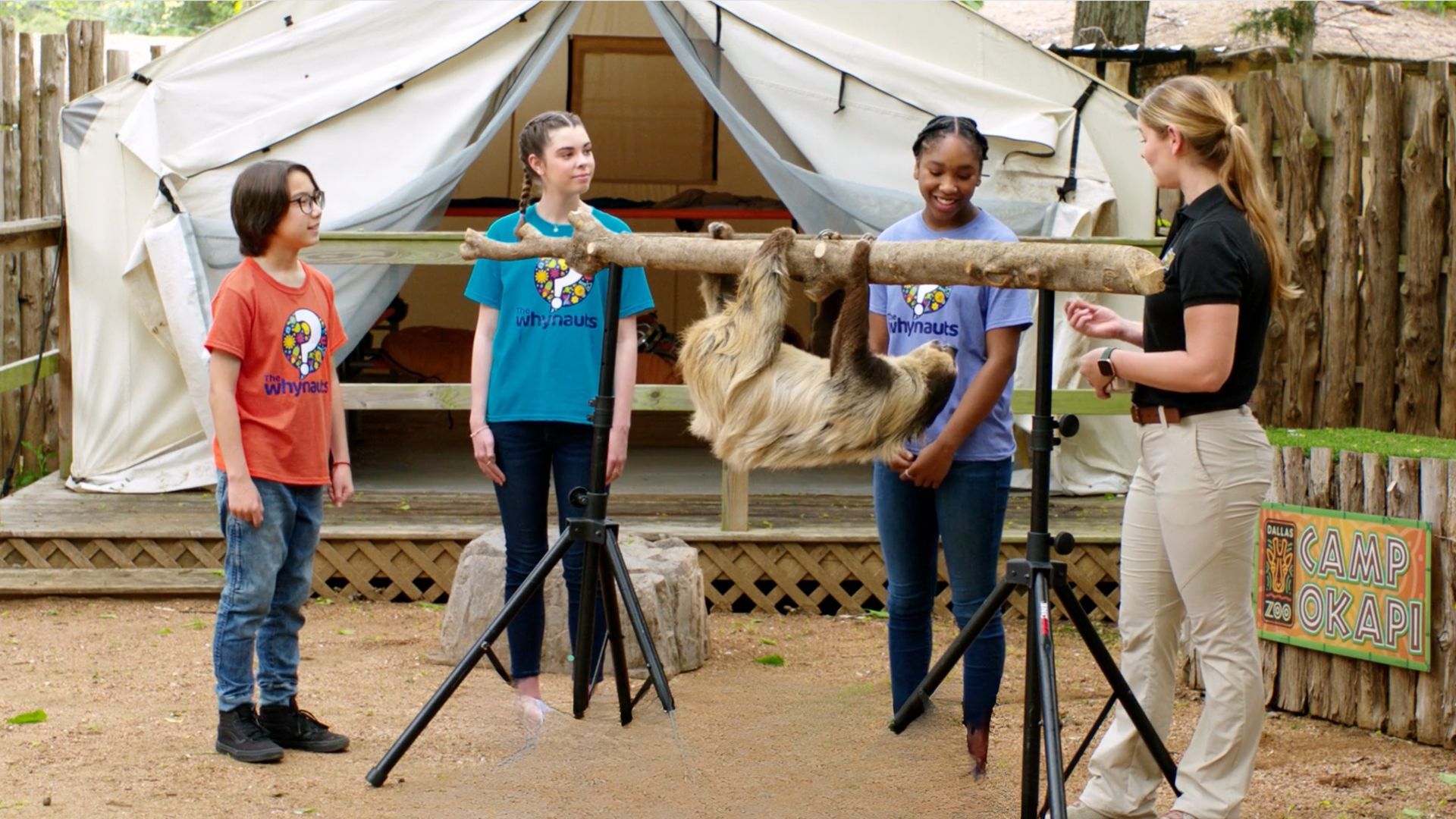 Kids look at sloth hanging