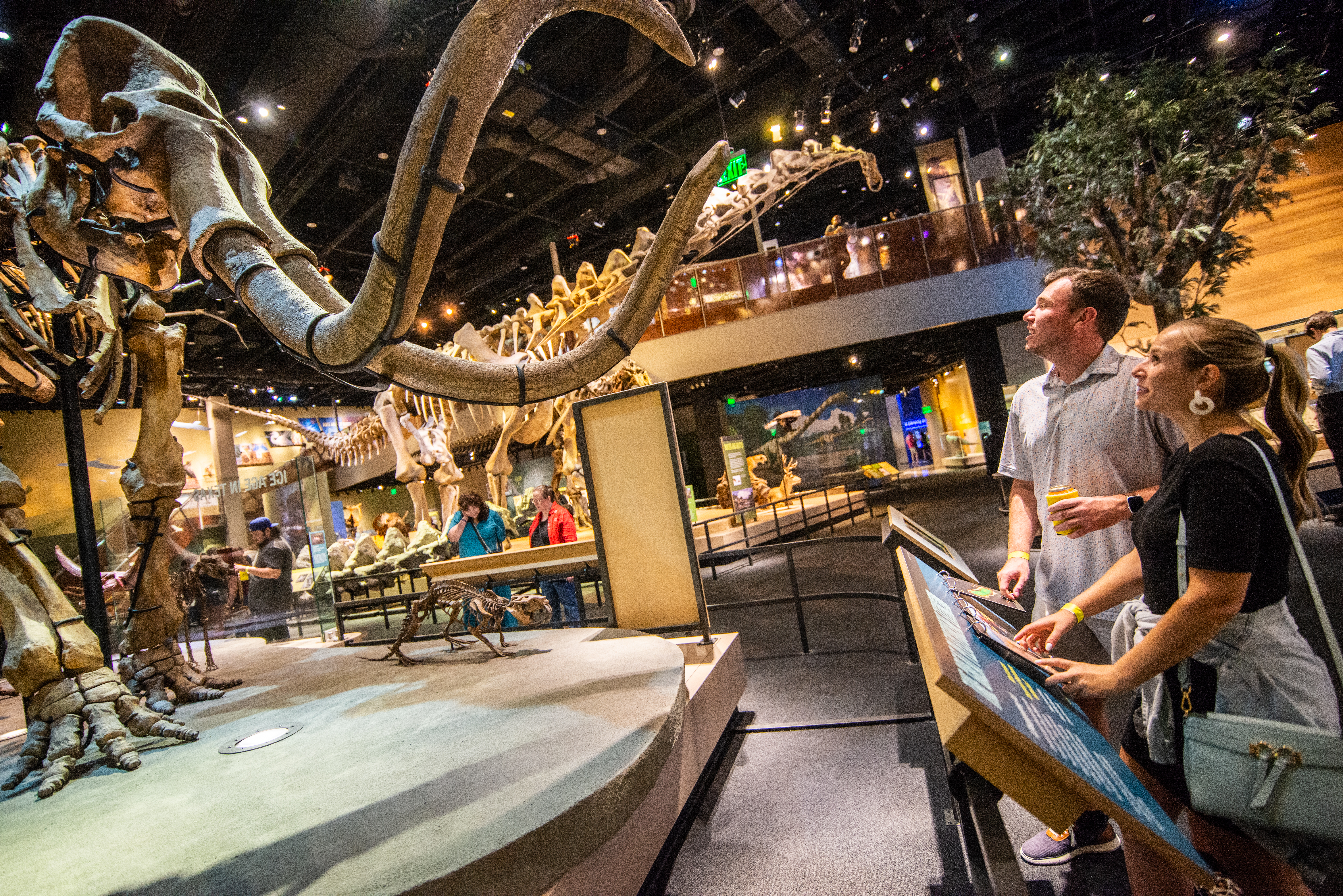 Thursdays on Tap | Perot Museum