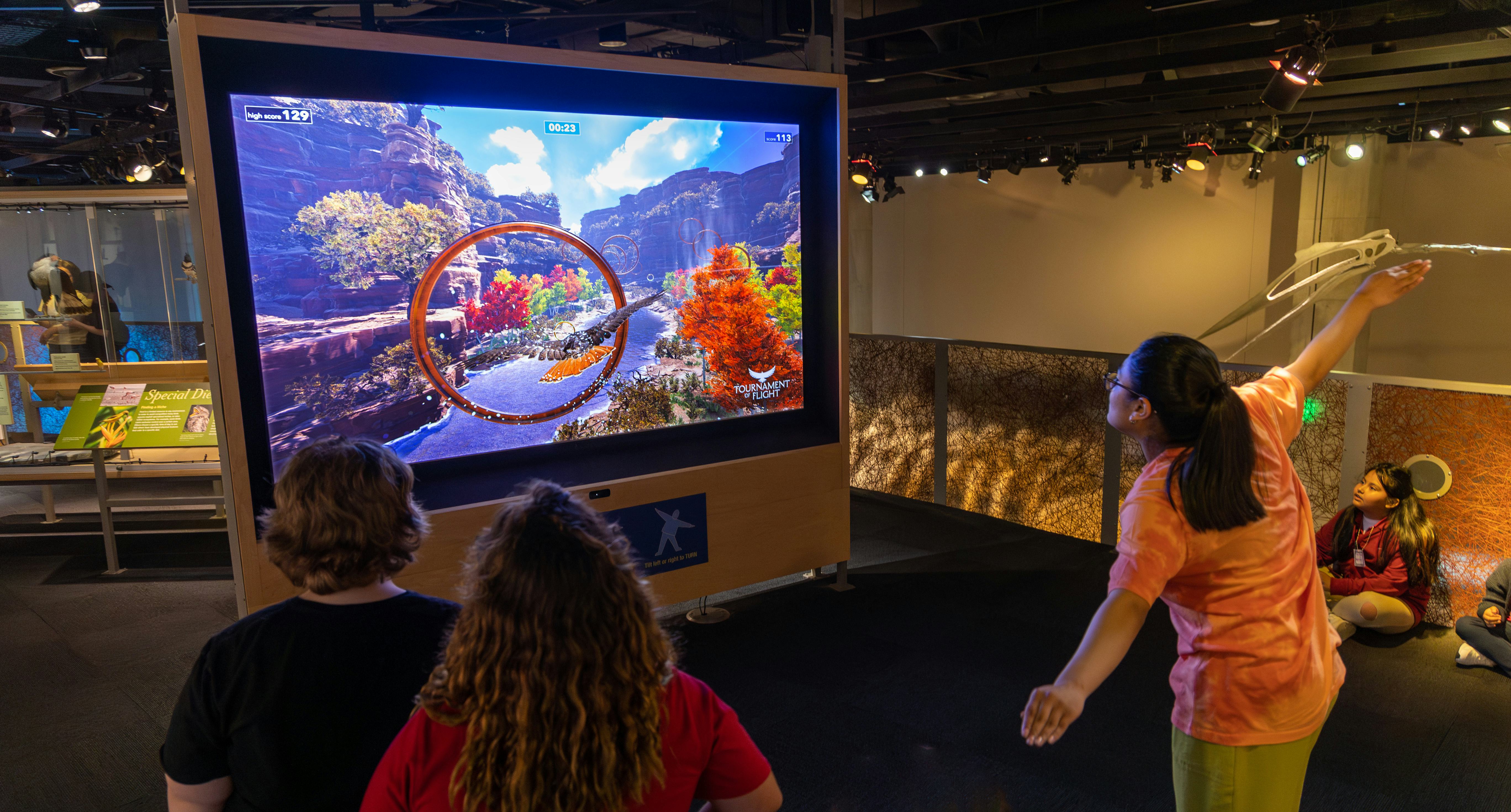 Guest playing tournament of flight game