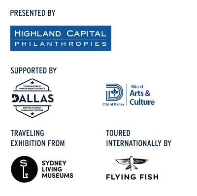 Towers of Tomorrow Sponsors: Highland Capital, Dallas tourism, City of Dallas Arts and Culture, Sydney Living Museums, Flying Fish