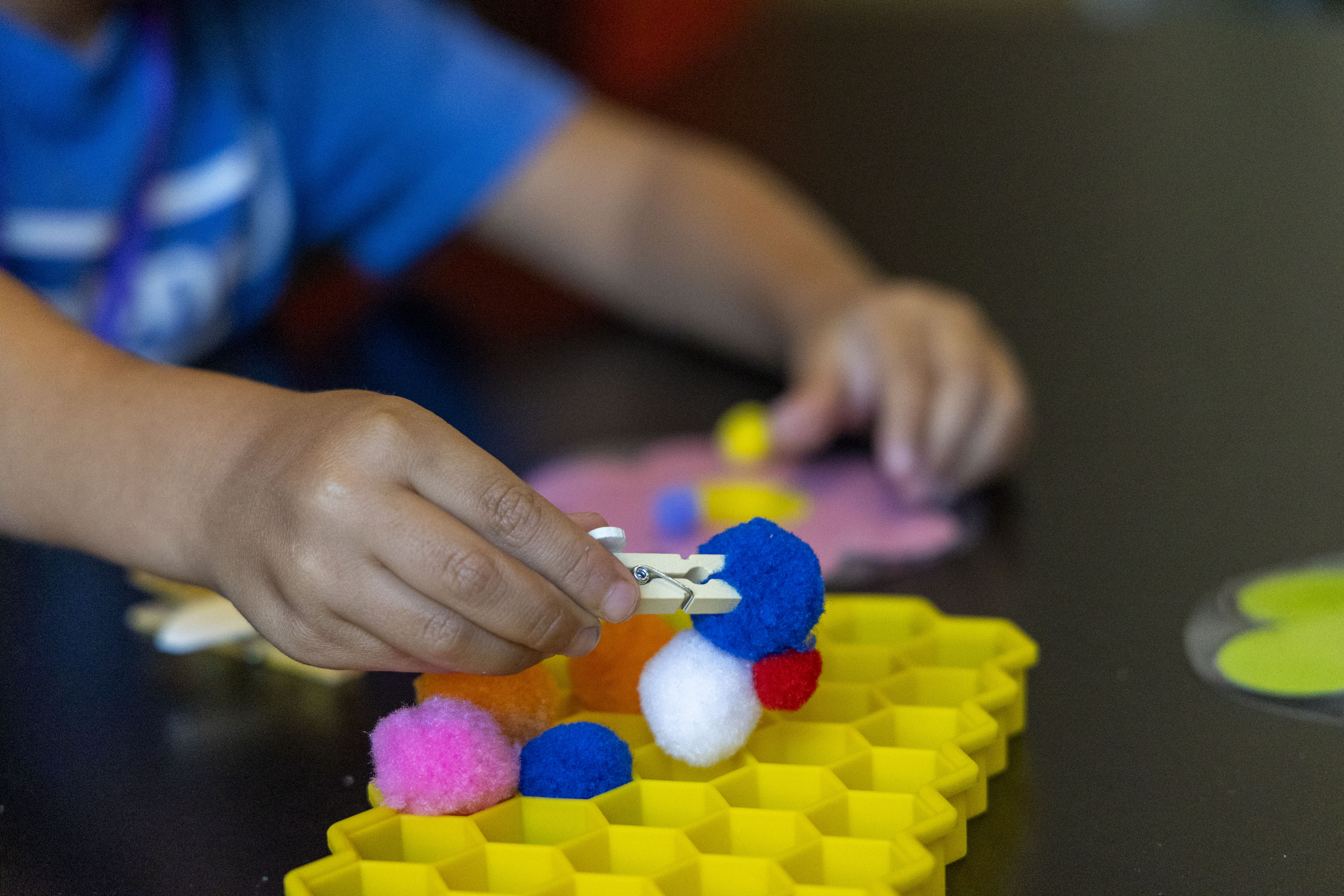 kid performing amazing animals lab