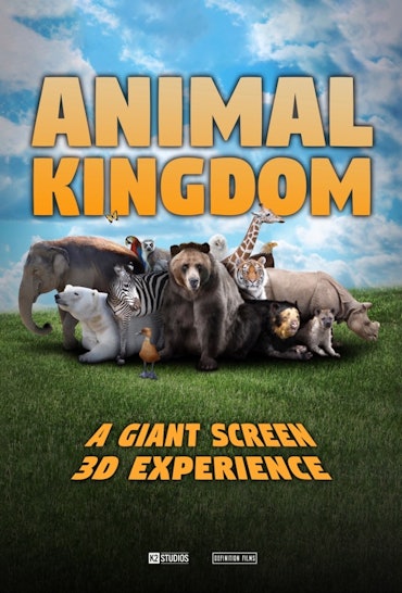 Animal Kingdom film poster