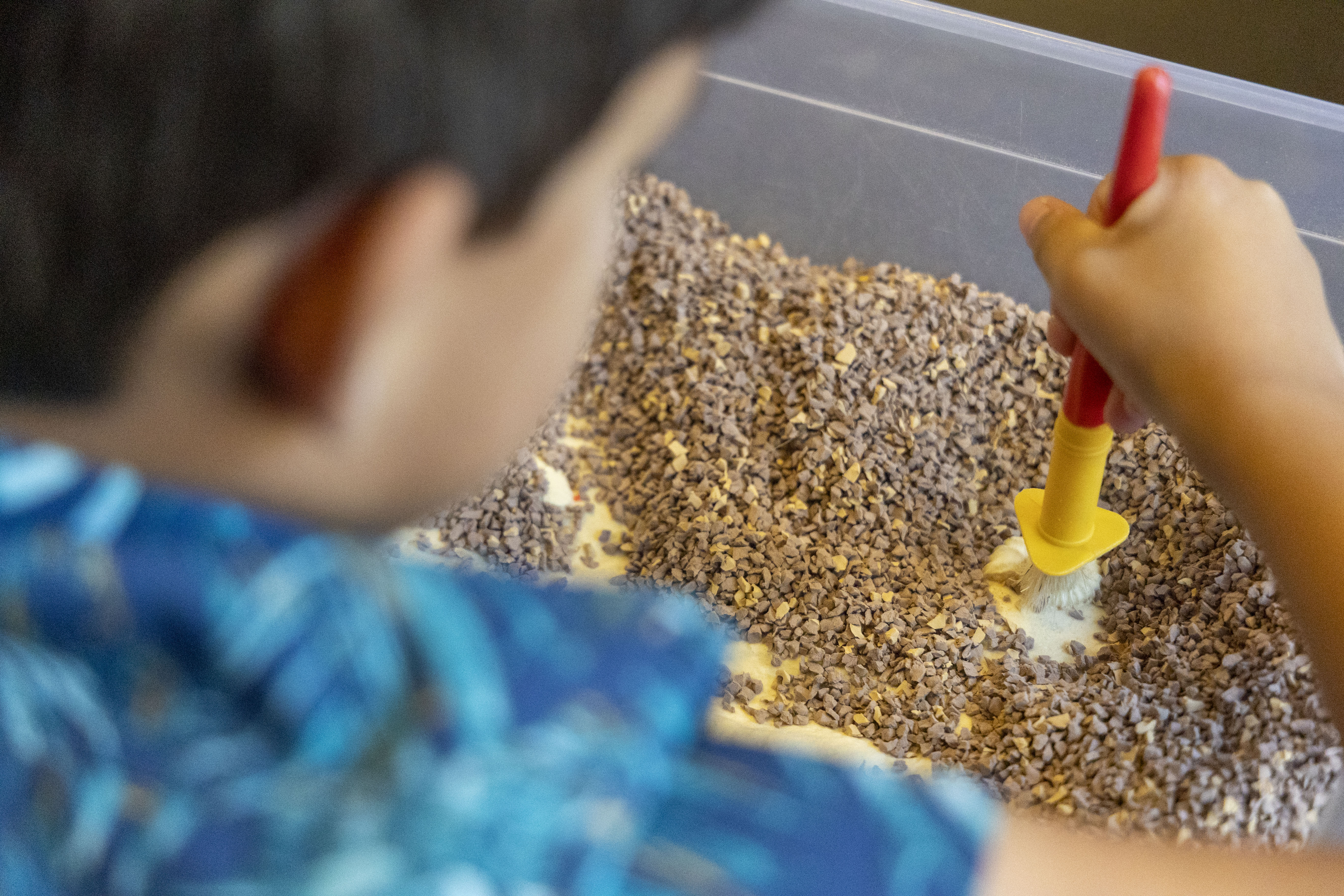 kid performing dig those dinos lab