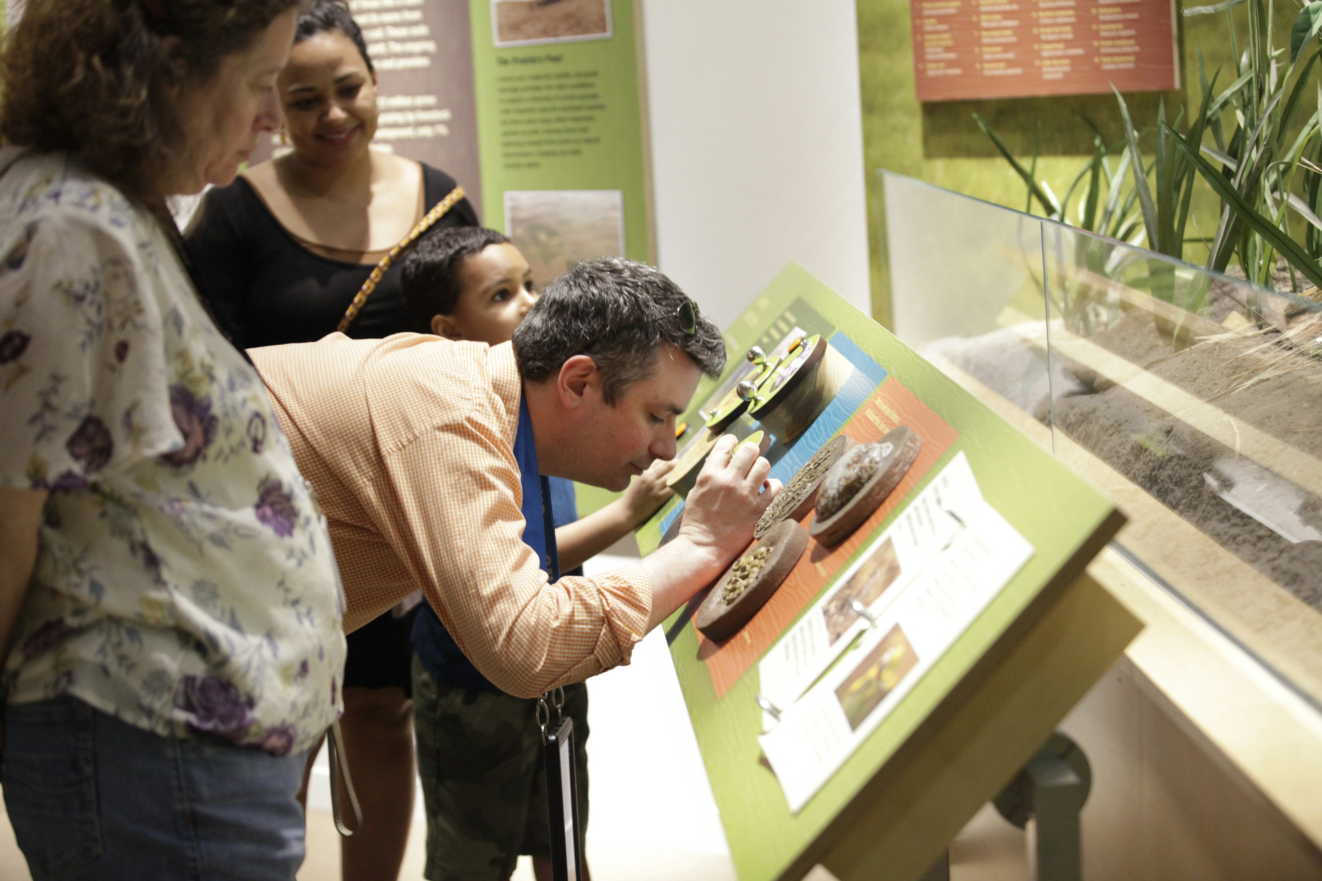 A museum patron looks closely at a display.