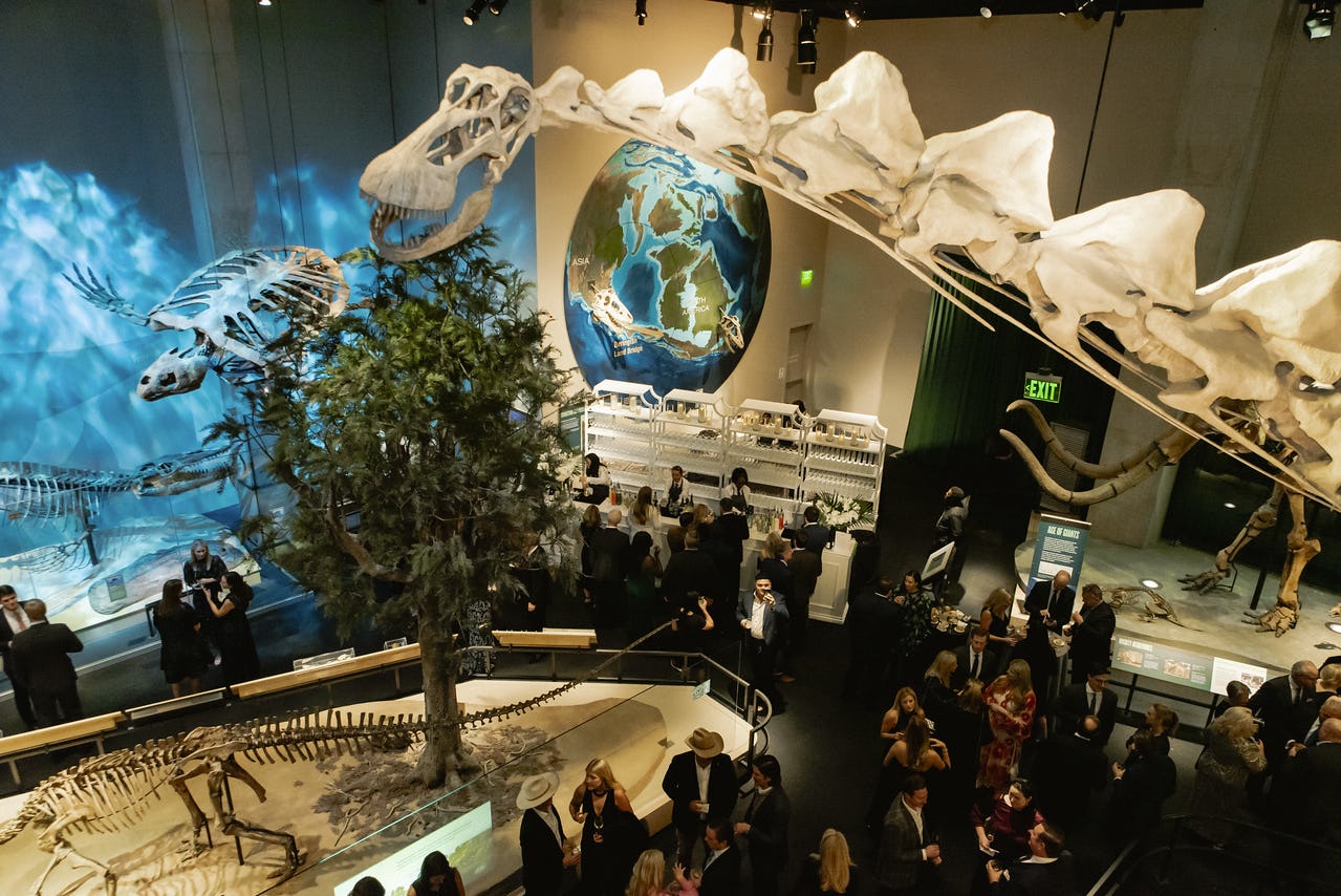 Supporters at event in Life Then and Now Hall at Perot Museum
