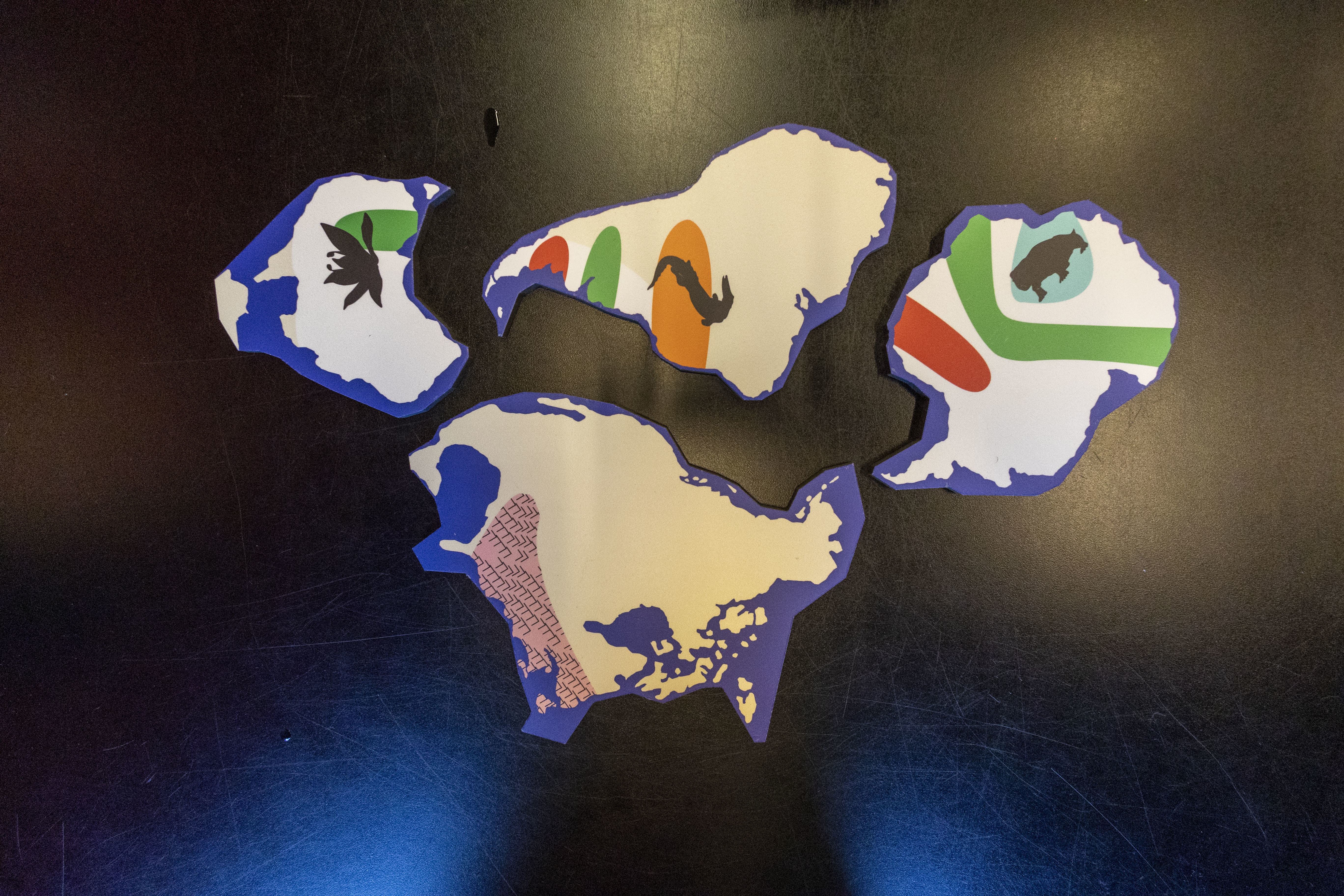 globe puzzling pieces